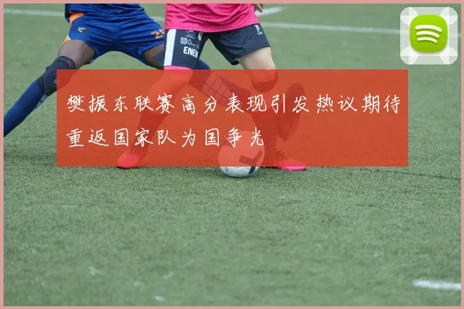 樊振东联赛高分表现引发热议期待重返国家队为国争光