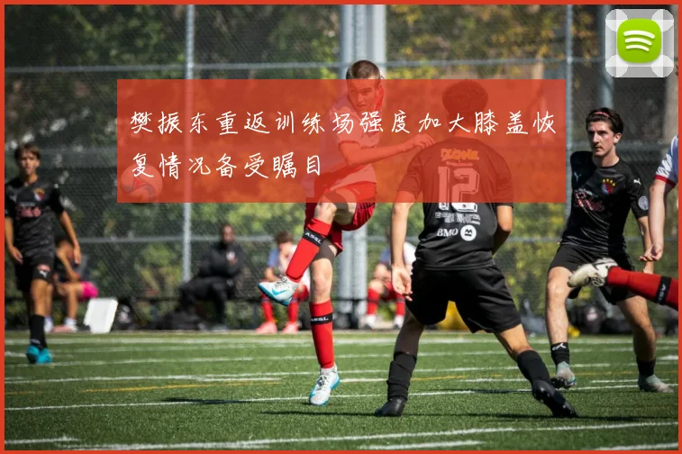 樊振东重返训练场强度加大膝盖恢复情况备受瞩目